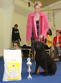 BLACK z Ledenickch zahrad zskal cenu za titul "Vstavn pes CCR roku 2009"